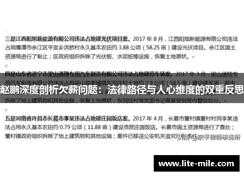 赵鹏深度剖析欠薪问题：法律路径与人心维度的双重反思